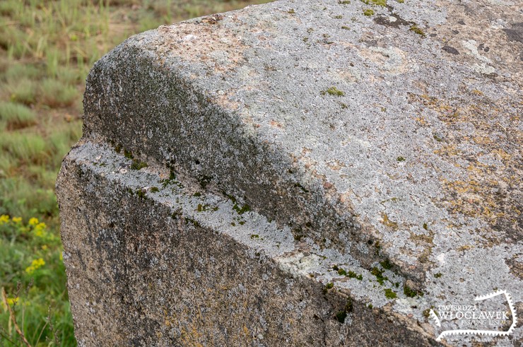 Samotnik przy kanale